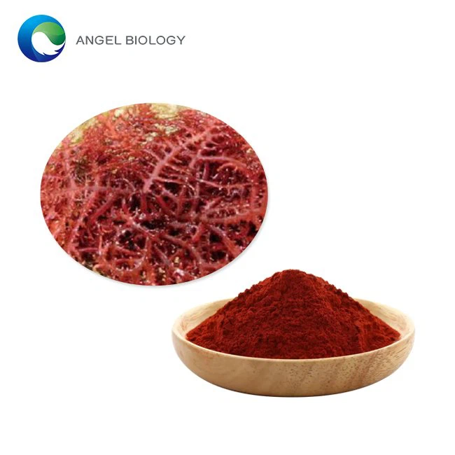 Is Astaxanthin Powder Good for Eyes?